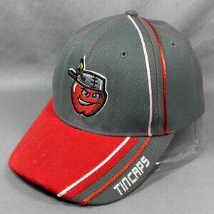 BimmRidder Fort Wayne TinCaps MiLB Strapback Hat Cap Gray San Diego Padres Youth